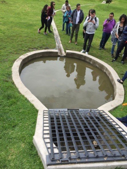 Piscina de evapo-transpiración